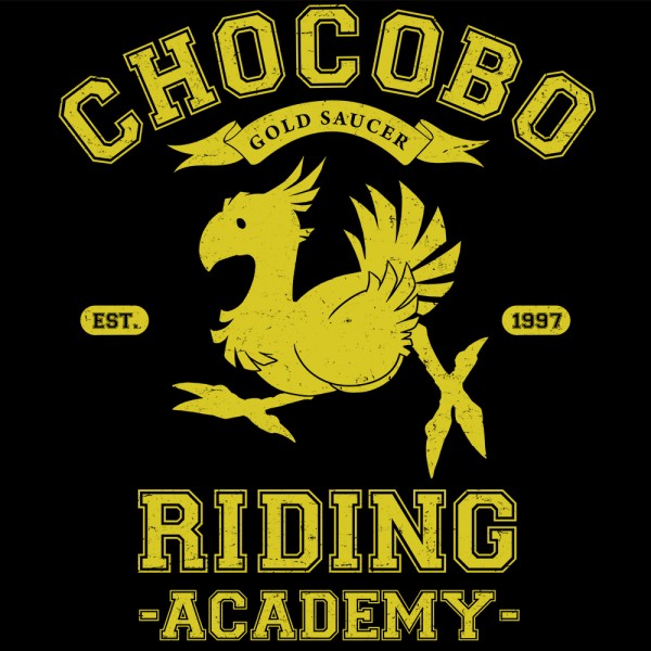 Riding Academy