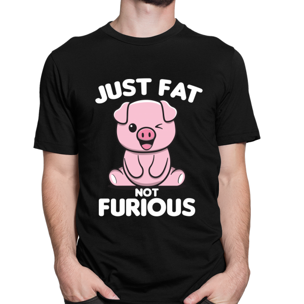 fat and furious