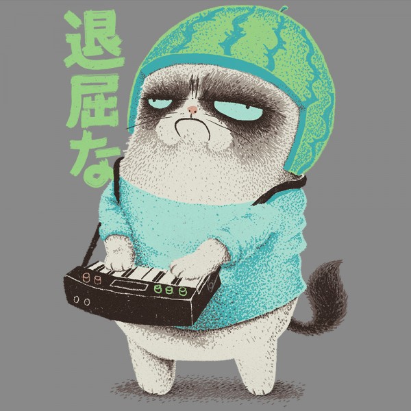 Boring Grumpy Keyboard Cat