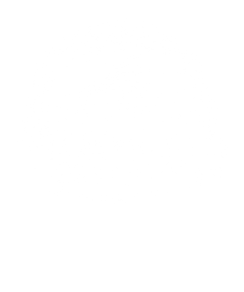 Moonlight Samurai