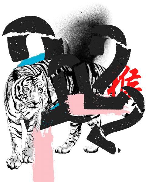 tiger design art