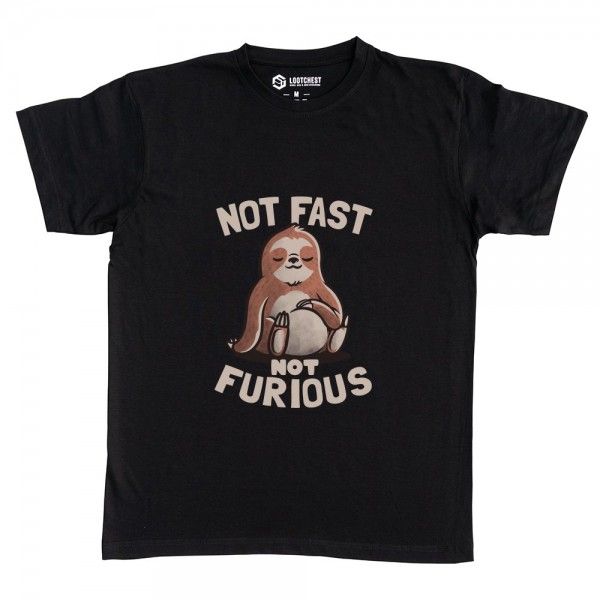 Not Fast Not Furious Lazy Cute Sloth