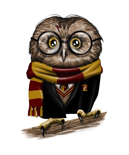Owly Potter