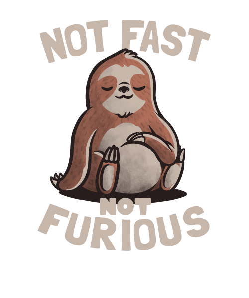 Not Fast Not Furious Lazy Cute Sloth Gift