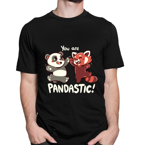 You are Pandastic