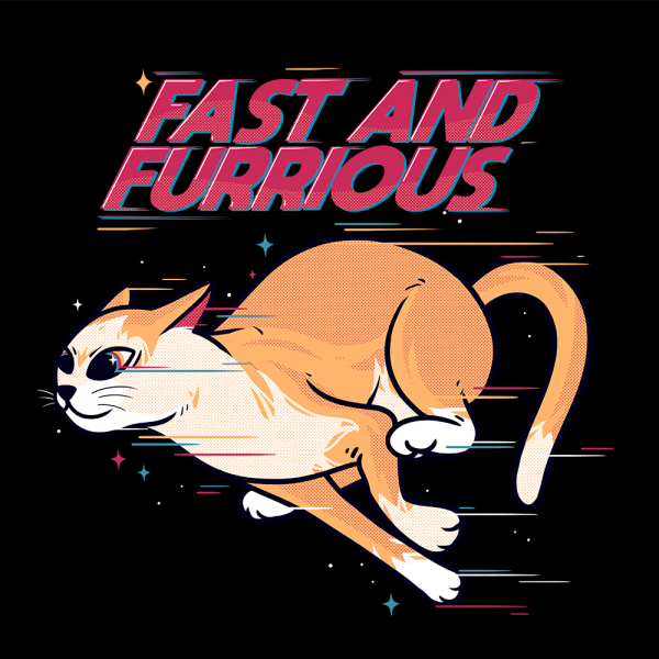 fast and furrious