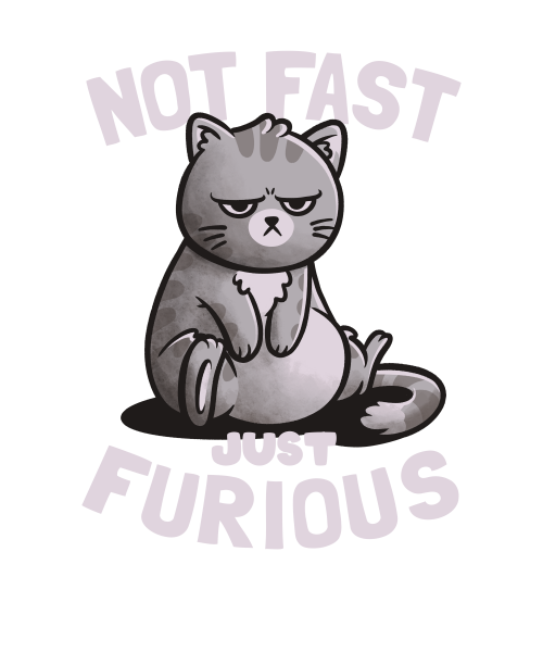 Not Fast Just Furious Cute Funny Cat Gift