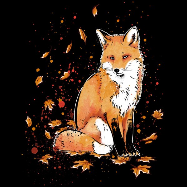 Fox in the Night